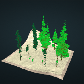 Modèle 3D d'arbre Modèle 3D d'arbre